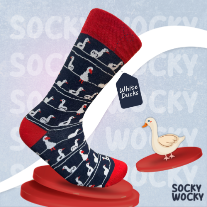 Bild von Duck White