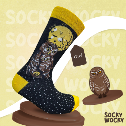 Bild von Owl