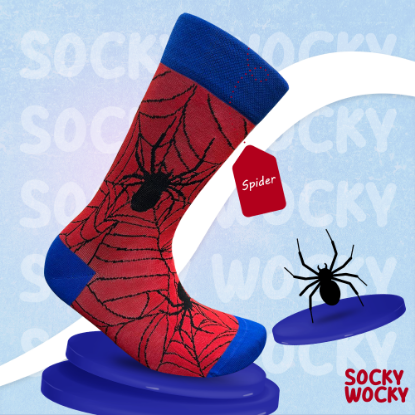 Bild von Spider