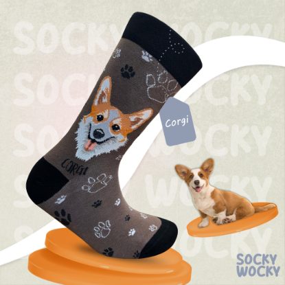 Bild von Corgi