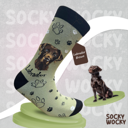 Bild von Labrador Brown