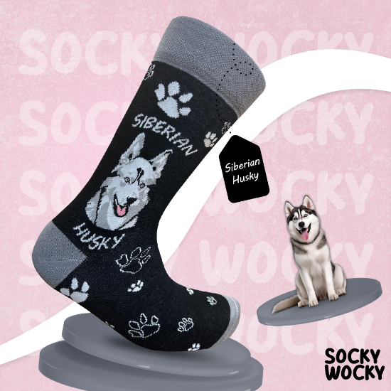 Bild von Siberian Husky