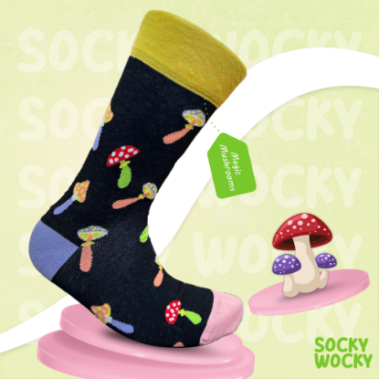 Bild von Magic Mushrooms