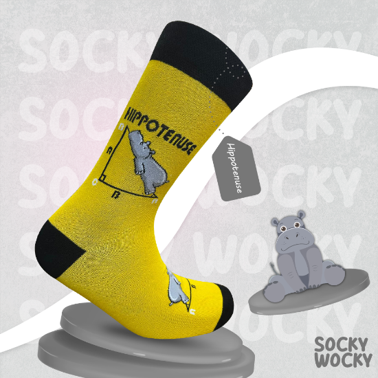 Bild von Hippotenuse