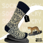 Bild von Leopard