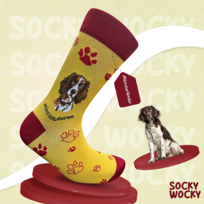 Bild von Münsterländer