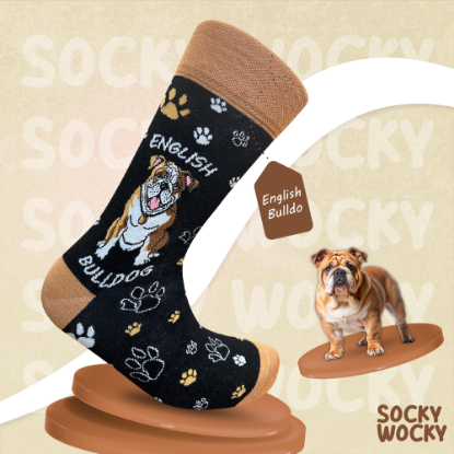 Bild von English Bulldog