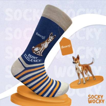 Bild von Basenji