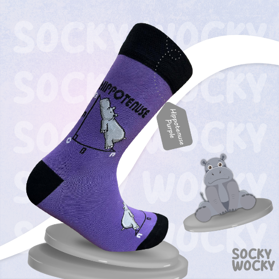 Bild von Hippotenuse Purple