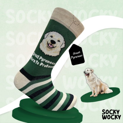 Bild von Great Pyrenees