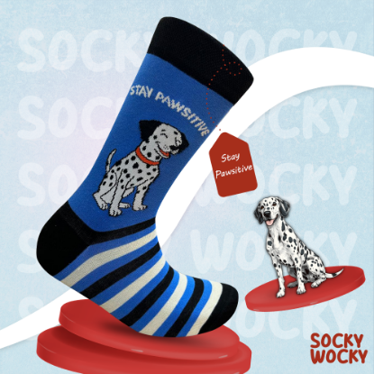 Bild von Stay Pawsitive